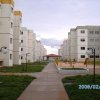 Obra Entregue Flores